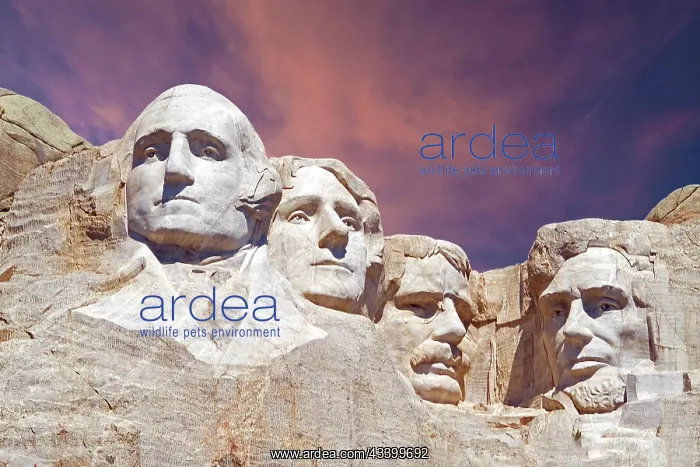 : Mount Rushmore in South Dakota, monument to four : Mount Rushmore in South Dakota, monument to four