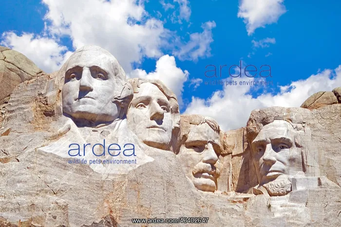 : Mount Rushmore in South Dakota, monument to four : Mount Rushmore in South Dakota, monument to four