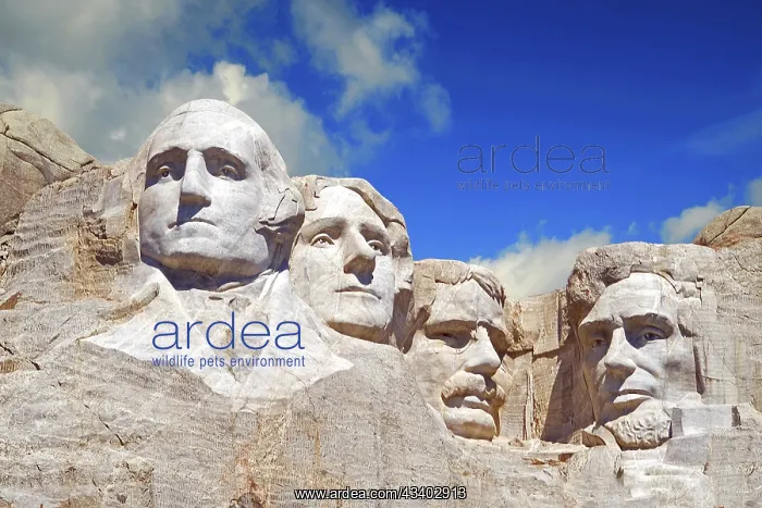 : Mount Rushmore in South Dakota, monument to four : Mount Rushmore in South Dakota, monument to four