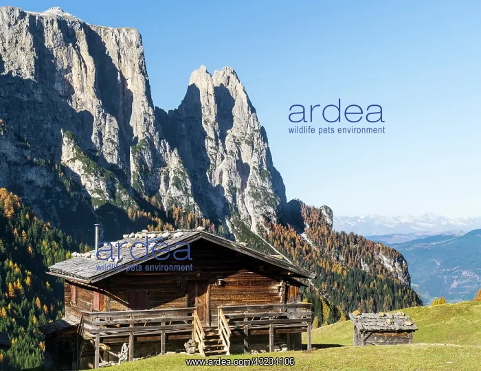 : Mount Schlern (Mount Sciliar) in South Tyrol : Mount Schlern (Mount Sciliar) in South Tyrol