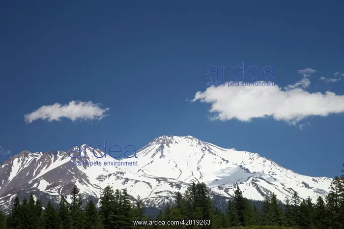 : Mount Shasta (14, 162 feet) - the second highest : Mount Shasta (14, 162 feet) - the second highest