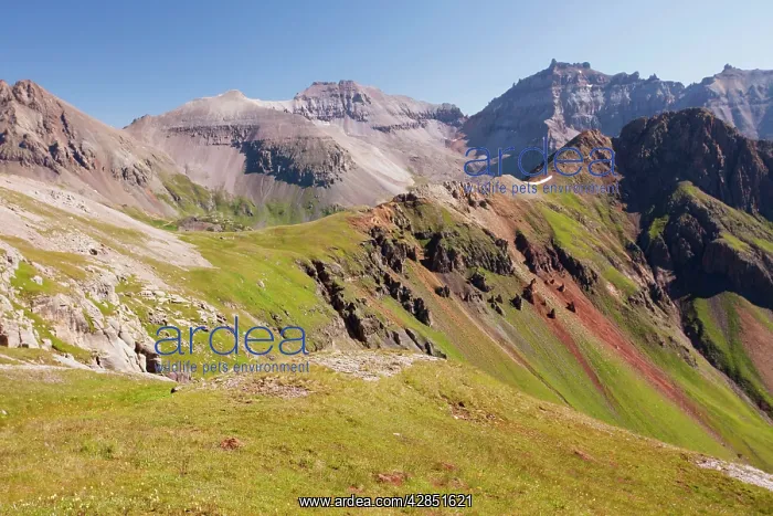 : Mount Sneffels (14150 ft) and high peaks around : Mount Sneffels (14150 ft) and high peaks around