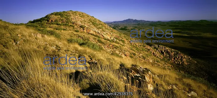 : Mount Sonder region, West MacDonnell National Park : Mount Sonder region, West MacDonnell National Park