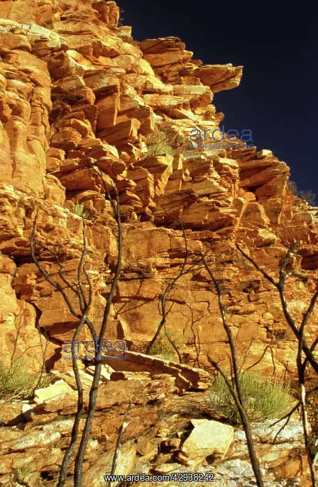 : Mount Sonder at sunrise. West MacDonnell Ranges : Mount Sonder at sunrise. West MacDonnell Ranges