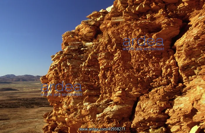 : Mount Sonder at sunrise. West MacDonnell Ranges : Mount Sonder at sunrise. West MacDonnell Ranges