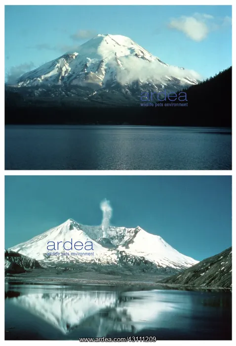 : Mount St. Helens Before and After 1980 Eruption : Mount St. Helens Before and After 1980 Eruption