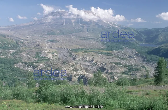 : Mount St. Helens : Mount St. Helens