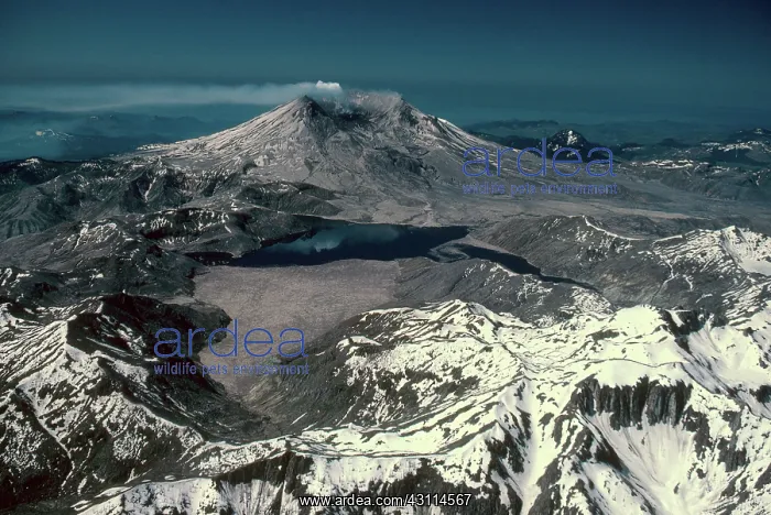 : Mount St. Helens : Mount St. Helens