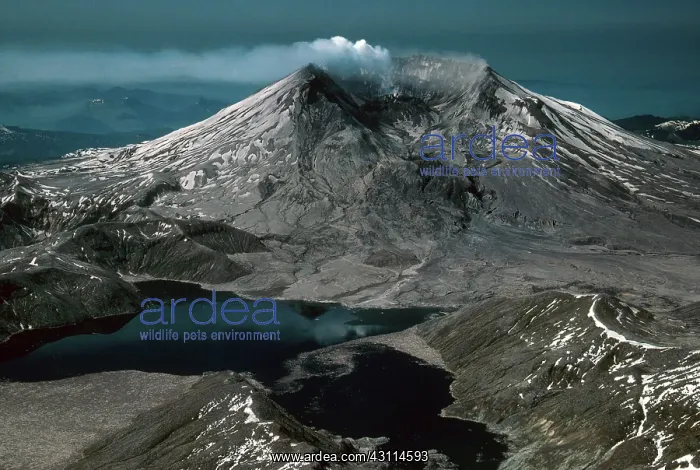 : Mount St. Helens : Mount St. Helens