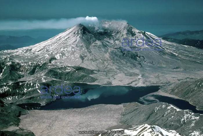 : Mount St. Helens : Mount St. Helens