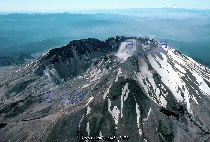 : Mount St. Helens : Mount St. Helens