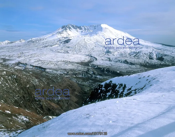 : Mount St. Helens : Mount St. Helens
