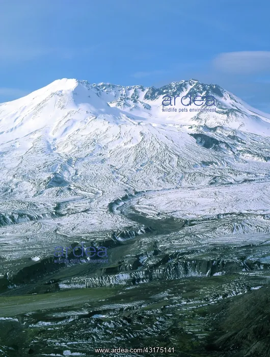 : Mount St. Helens : Mount St. Helens