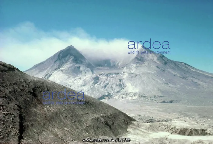 : Mount St. Helens : Mount St. Helens