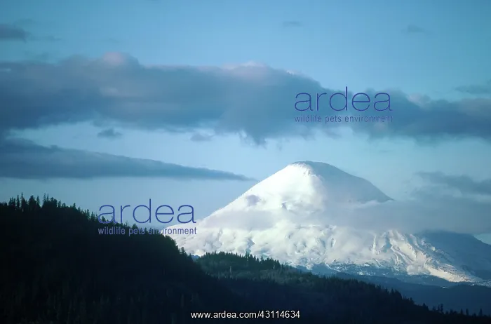 : Mount St. Helens (Before Eruption) : Mount St. Helens (Before Eruption)