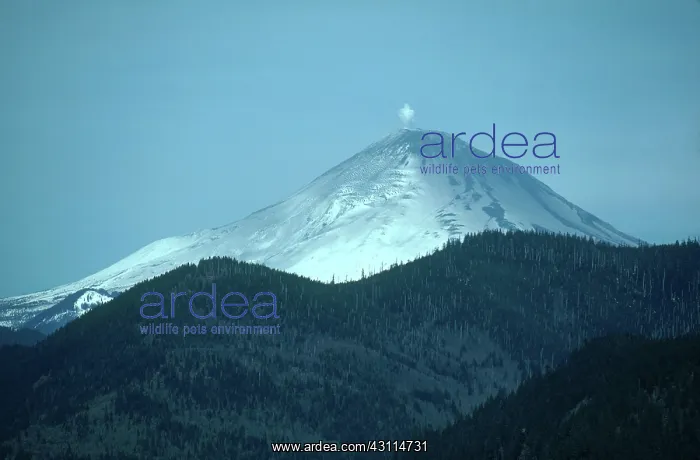 : Mount St. Helens (Before Eruption) : Mount St. Helens (Before Eruption)