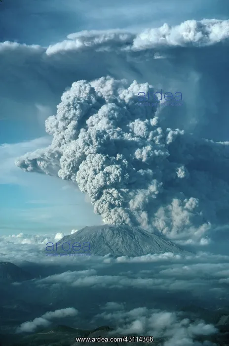 : Mount St. Helens, July 1980 : Mount St. Helens, July 1980