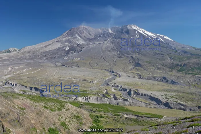 : Mount St Helens National Monument : Mount St Helens National Monument