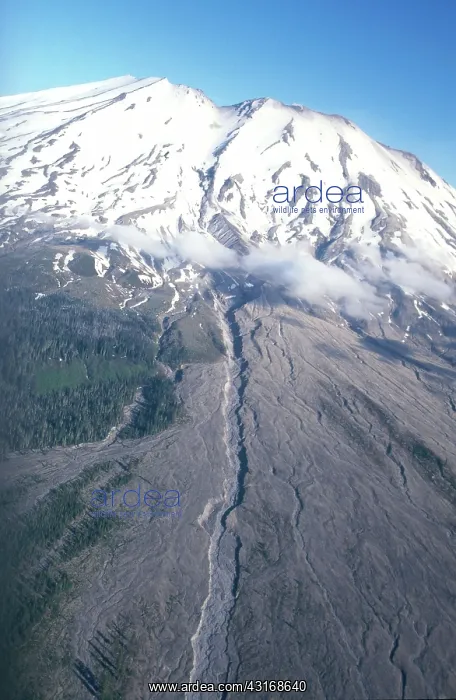 : Mount St. Helens, Washington : Mount St. Helens, Washington