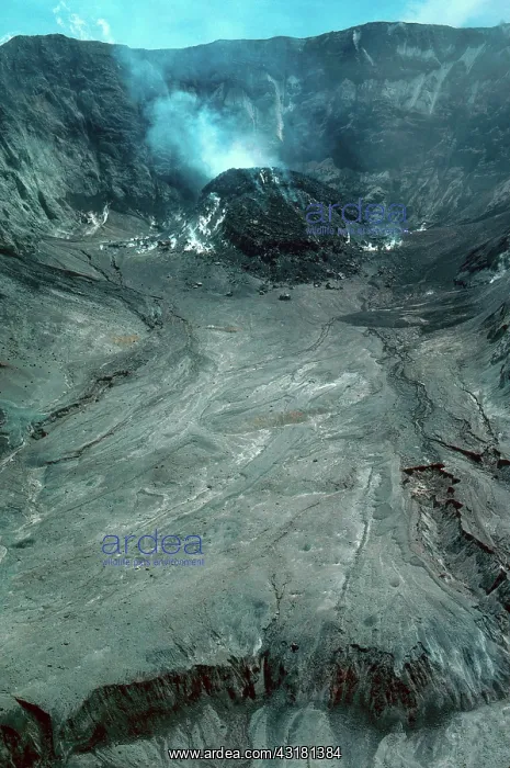 : Mount St. Helens One Year After Eruption : Mount St. Helens One Year After Eruption
