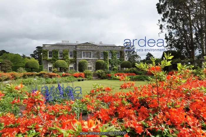  : Mount Stewart House and Gardens, Newtownards, County