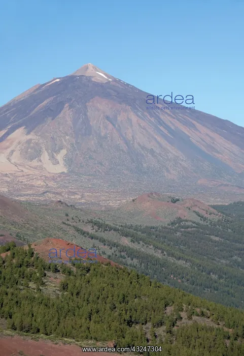 : Mount Teide, Las Canadas National Park : Mount Teide, Las Canadas National Park