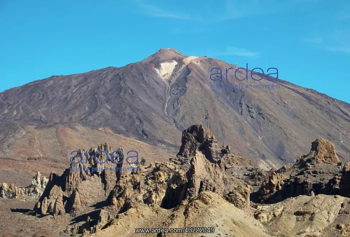 : Mount Teide volcano, Teide National Park, Tenerife : Mount Teide volcano, Teide National Park, Tenerife