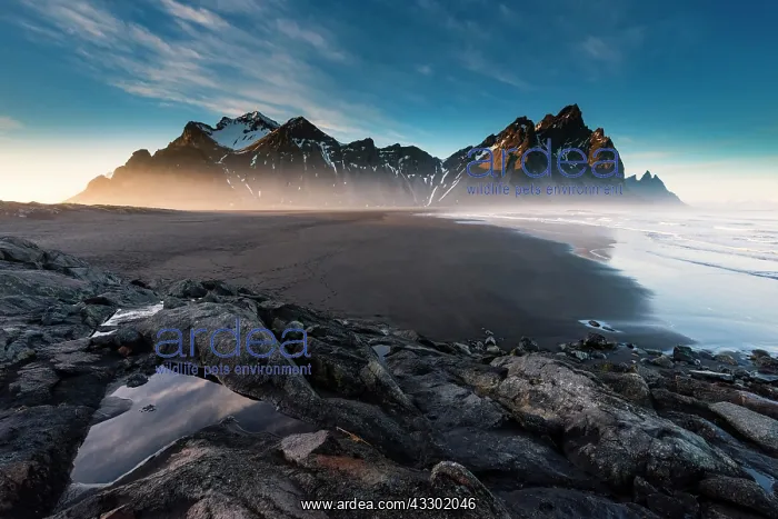 : Mount Vestrahorn, Black Lava Beach at Cape Stokksnes : Mount Vestrahorn, Black Lava Beach at Cape Stokksnes
