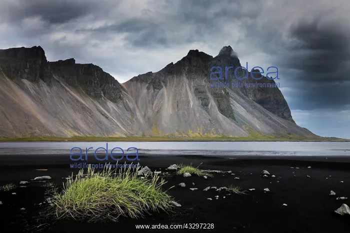 : Mount Vestrahorn with the black lava beach Kirkjusandur : Mount Vestrahorn with the black lava beach Kirkjusandur