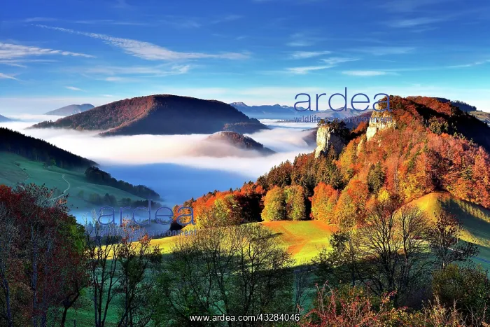 : Mountain Ankenballen with sea of fog, Langenbruck : Mountain Ankenballen with sea of fog, Langenbruck