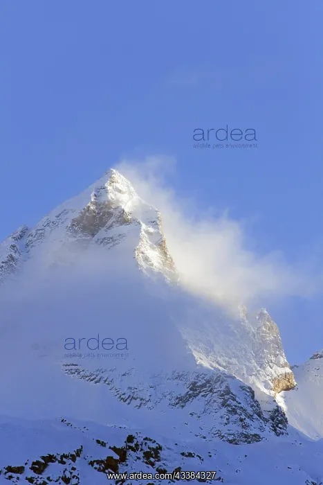 : The mountain Becca di Monciair, Gran Paradiso National : The mountain Becca di Monciair, Gran Paradiso National