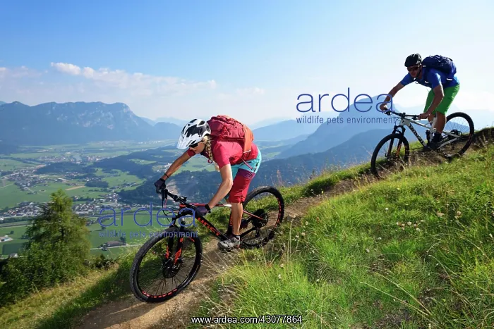 : Mountain bikers on the Mnslalmkogel, Wnrgl Kitzbahel : Mountain bikers on the Mnslalmkogel, Wnrgl Kitzbahel