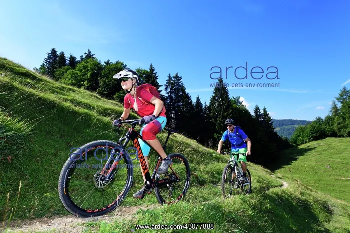: Mountain bikers on the Mnslalmkogel, Wnrgl Kitzbahel : Mountain bikers on the Mnslalmkogel, Wnrgl Kitzbahel