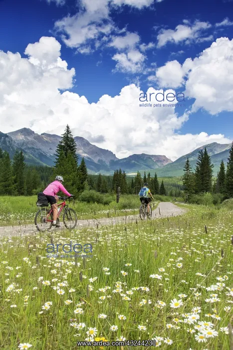 : Mountain biking along the Great Divide Route : Mountain biking along the Great Divide Route