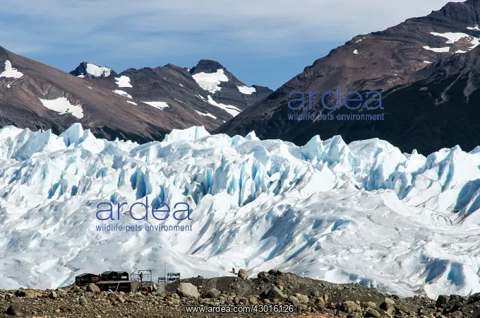 : Mountain Camp Site by Perito Moreno glacier : Mountain Camp Site by Perito Moreno glacier