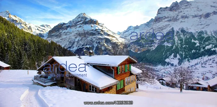 : Mountain chalet in winter looking towards the Jungfrau : Mountain chalet in winter looking towards the Jungfrau