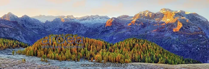 : Mountain forest in hoar-frost with Stone Sea at : Mountain forest in hoar-frost with Stone Sea at