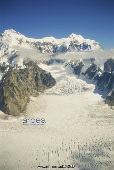 : Mountain Glacier in Alaska : Mountain Glacier in Alaska