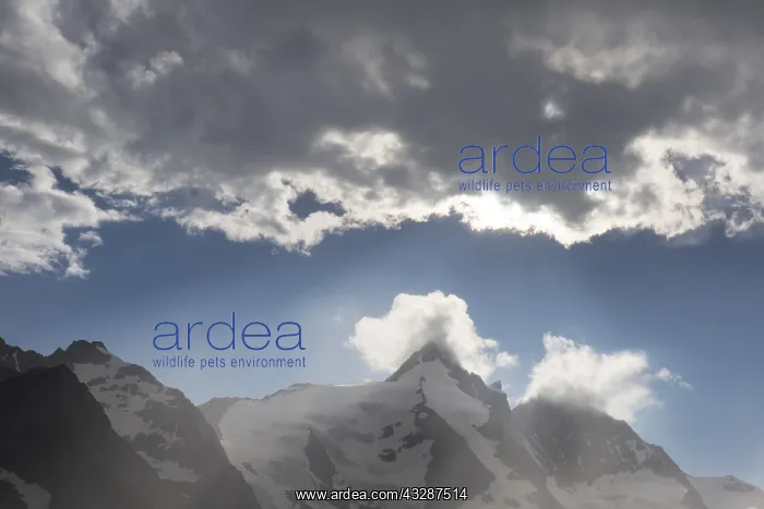 : The mountain Grossglockner (3798 m) - Hohe Tauern : The mountain Grossglockner (3798 m) - Hohe Tauern