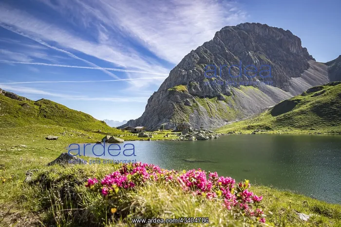 : Mountain hut Obstanserseehatte, Obstansersee-Hatte : Mountain hut Obstanserseehatte, Obstansersee-Hatte