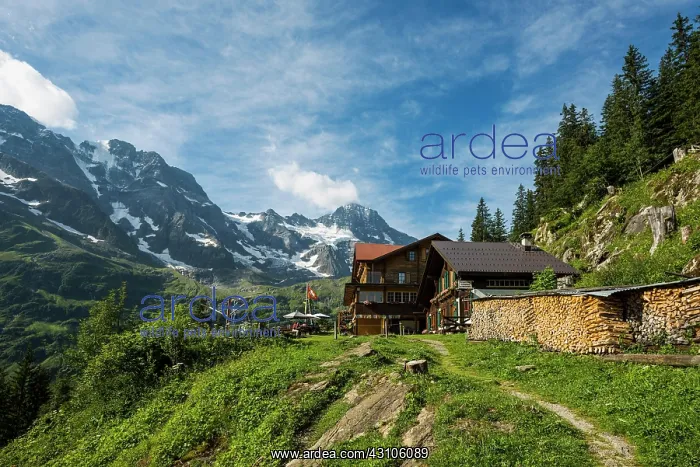: Mountain inn Tschingelhorn, rear Lauterbrunnen valley : Mountain inn Tschingelhorn, rear Lauterbrunnen valley