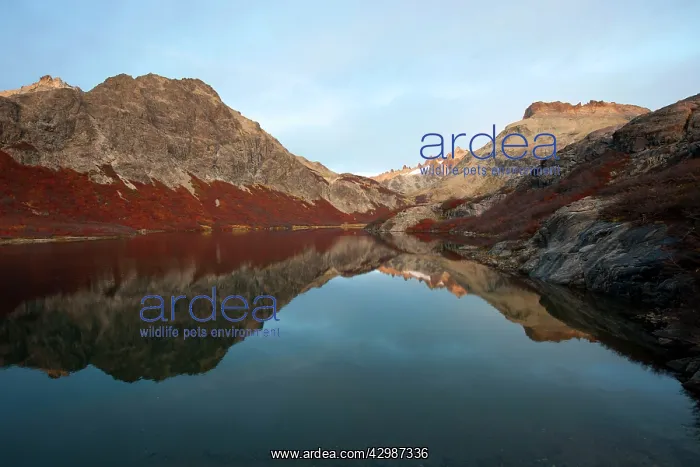  : Mountain Lake