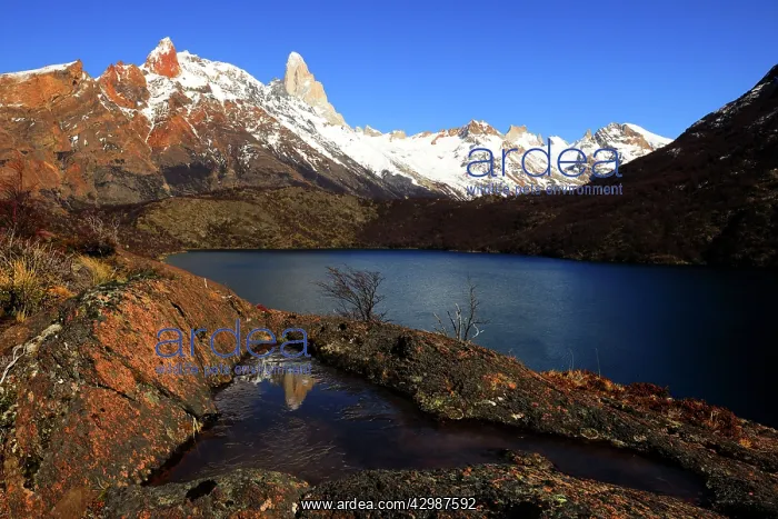 : Mountain Lake : Mountain Lake