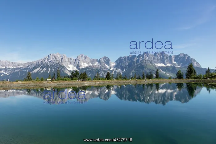 : Mountain lake at Astberg, Astbergsee, water reflection : Mountain lake at Astberg, Astbergsee, water reflection