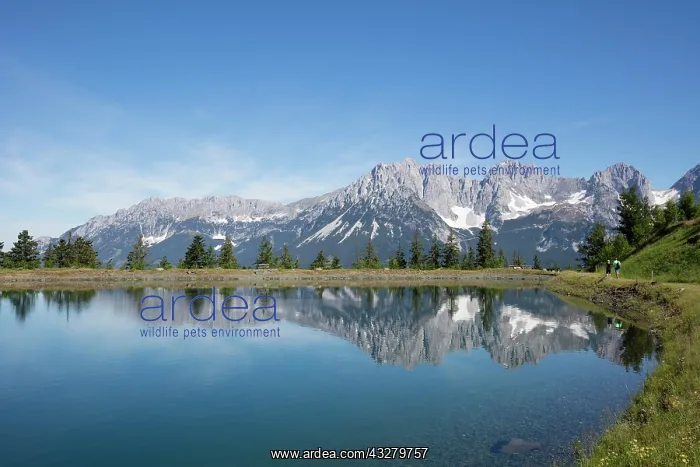  : Mountain lake at Astberg, Astbergsee, water reflection