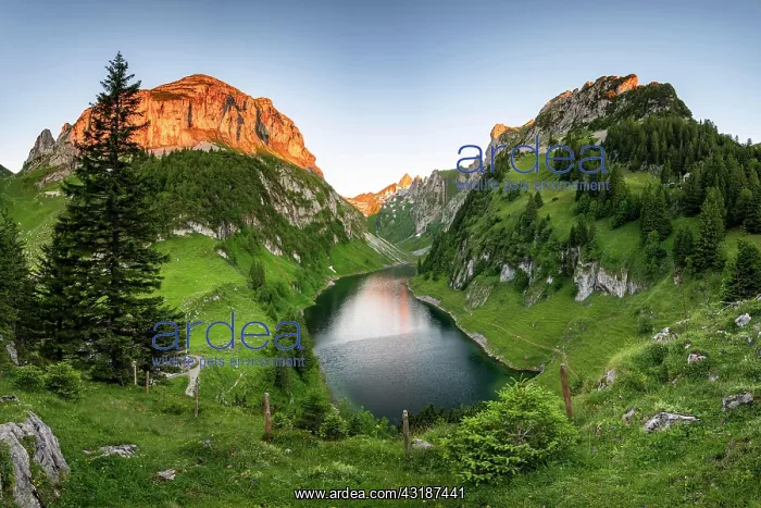 : Mountain lake Fclensee, morning atmosphere, Alpstein : Mountain lake Fclensee, morning atmosphere, Alpstein