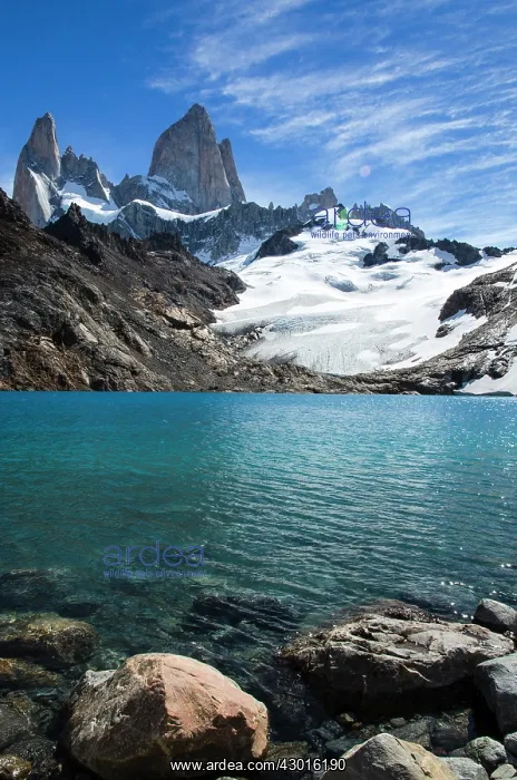 : Mountain Lake with Mount Fitz Roy in the background : Mountain Lake with Mount Fitz Roy in the background