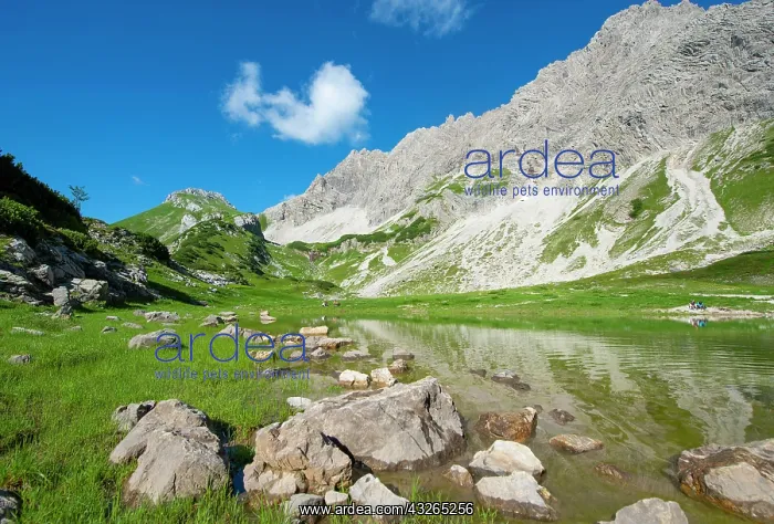 : Mountain lake near Prinz-Luitpold-Haus, Allg&, x4d60;Alps : Mountain lake near Prinz-Luitpold-Haus, Allg&, x4d60;Alps