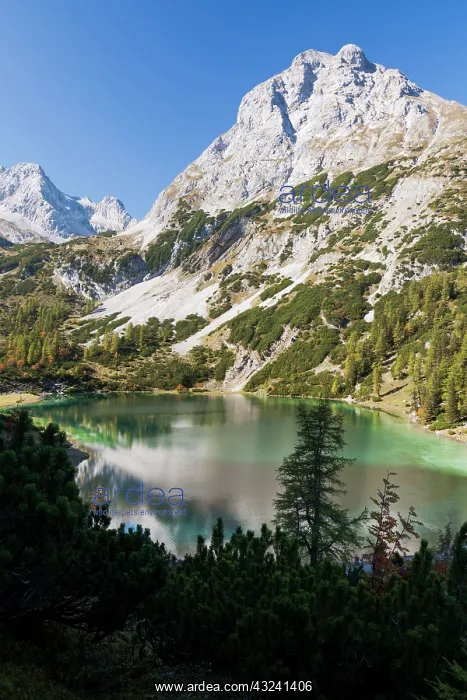 : Mountain lake Seeben (Seebensee) in the : Mountain lake Seeben (Seebensee) in the