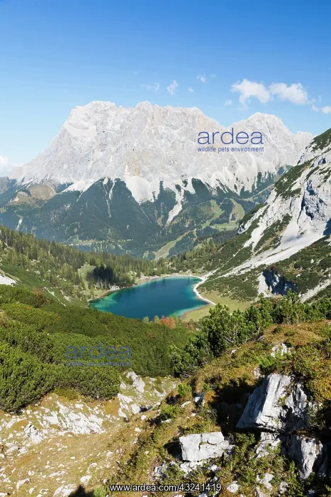 : Mountain lake Seeben (Seebensee) in the : Mountain lake Seeben (Seebensee) in the